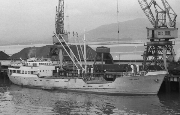 Pachina by T. Diedrich Pachina by T. Diedrich